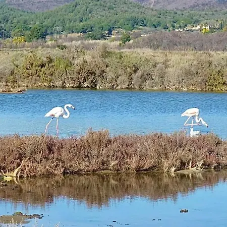 Appartamento Le Mont Des Oiseaux - Piscine - Vue Panoramique *
